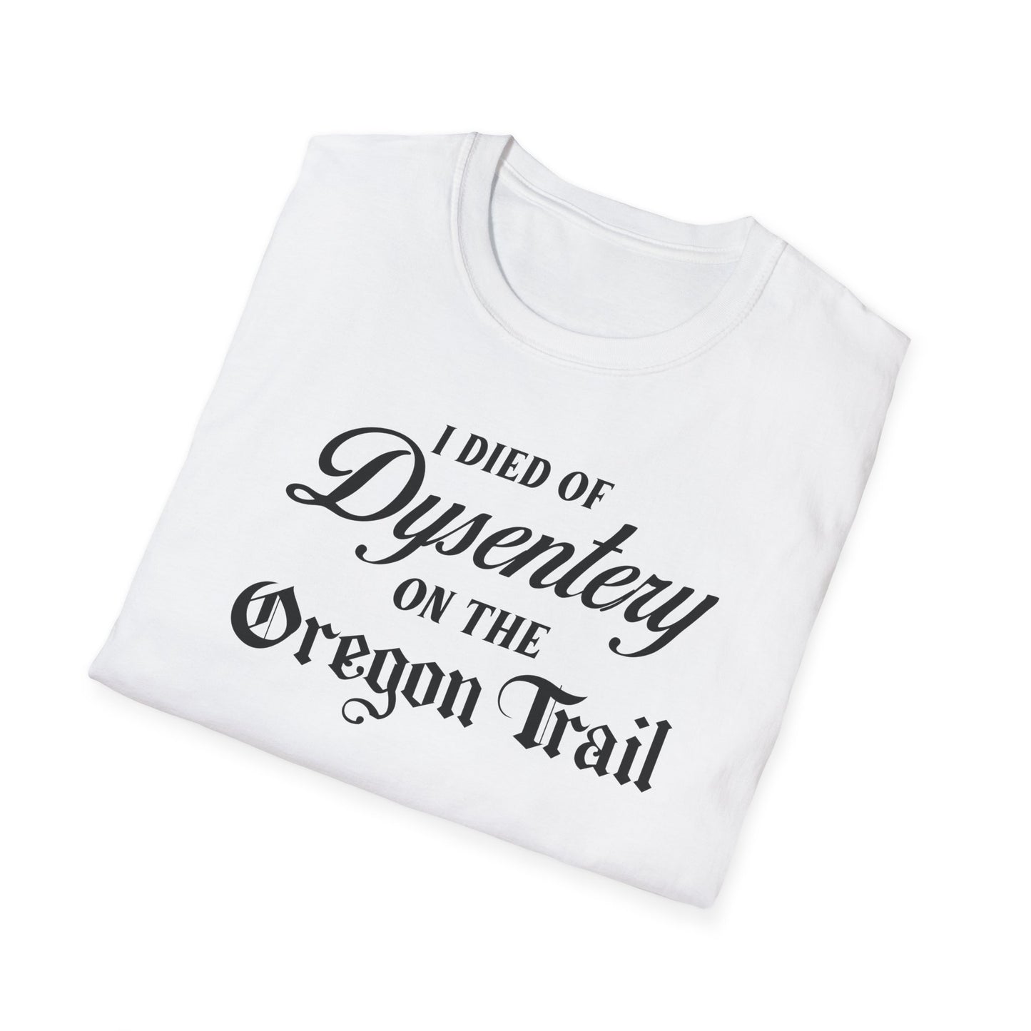 I Died of Dysentery on the Oregon Trail